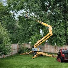 Lawn Grading and Leveling in Katy, TX